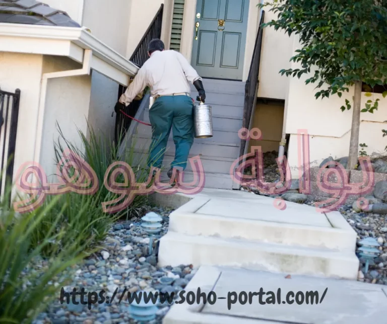 شركة مكافحة الصراصير بالرياض